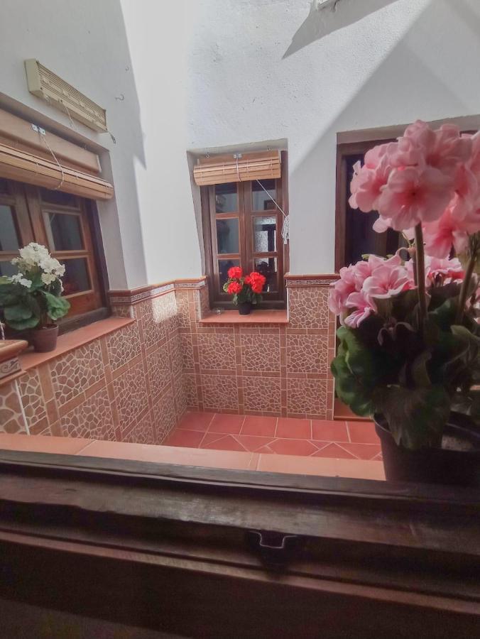 Flores, Disfruta En El Centro De Appartement